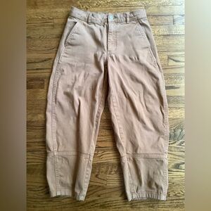 Everlane Barrel Durable Utility Pants